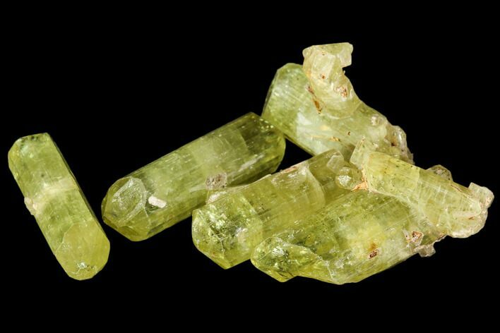 Five Yellow Apatite Crystals (over ) - Morocco #108372